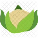 Coliflor  Icono
