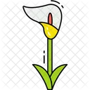 Colla Lily Flower Icon
