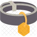 Collar Dog Pet Icon