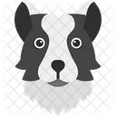 Collie Pet Animal Symbol