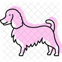 Collie Perro Mascota Icono