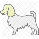 Collie Perro Mascota Icono