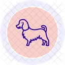 Collie Icono