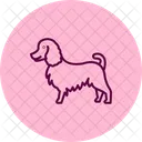 Collie Perro Mascota Icono