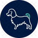Collie Perro Mascota Icono