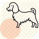 Collie Perro Mascota Icono