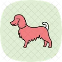 Collie Perro Mascota Icono