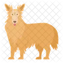 Collie Dog Puppy Symbol