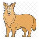 Collie Dog Puppy Icon