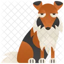 Collie  Ícone