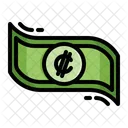 Colon Currency Cash Icon