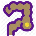 Colon Icon