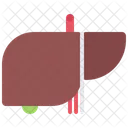 Colon  Icon