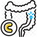 Colonoscopy  Icon