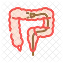 Colonoscopy Examination Hepatology Icon