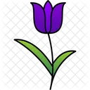 Color Easter Flower Icon