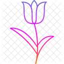 Color Easter Flower Icon