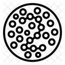 Color Blindness Test Color Blindness Icon