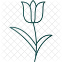 Color Easter Flower Icon
