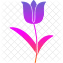 Color Easter Flower Icon