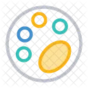Color palate  Icon