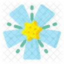 Colorado-Blume  Symbol