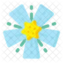 Colorado Flower  Icon