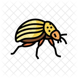 Colorado Potato Beetle  Icon