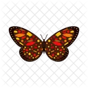 Colorful Butterfly Insect Painted Lady Icon