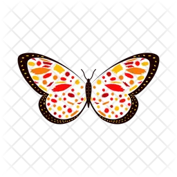 Colorful Butterfly  Icon
