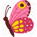 Butterfly Insect Wings Icon