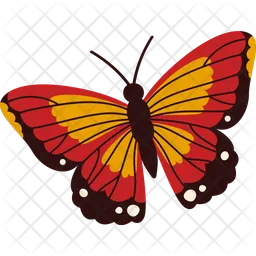 Colorful Butterfly  Icon