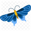 Butterfly Insect Wings Icon