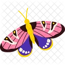 Colorful Butterfly  Icon