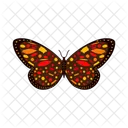 Colorful Butterfly  Symbol