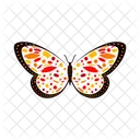 Colorful Butterfly  Symbol