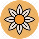 Columbine Flower Wild Icon