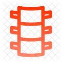 Columna vertebral  Icono