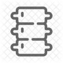 Columna Vertebral Cuerpo Anatomia Icono