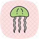 Comb Jelly Comb Jelly Icon