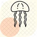 Comb Jelly Comb Jelly Icon