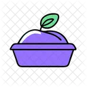 Alimentos Organicos Organicos Alimentos Ícone