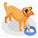 Animal Hueso Perro Icon