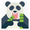 Comiendo panda  Icon