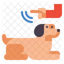 Command  Icon