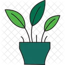 Commercial Plant  Icon