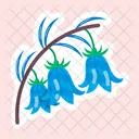 Common Bluebells  Icon