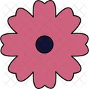 Common Daisy Flower  Icon