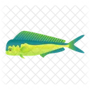 Common Dolphinfish  Icon