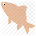 Common Fish  Icon